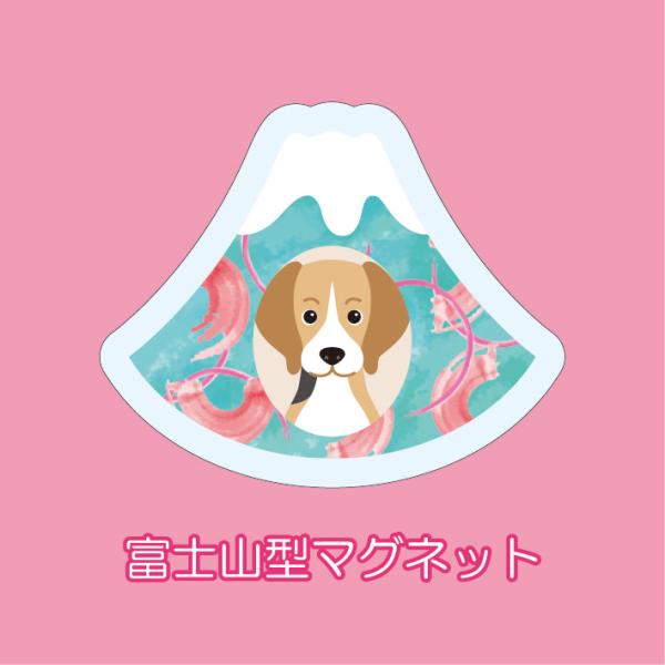 マグネット アクリル ビーグル 静岡 桜海老 かわいい 磁石 雑貨 犬 ホワイトボード 冷蔵庫