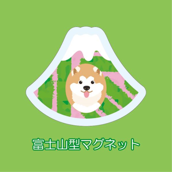 マグネット アクリル 秋田犬 静岡 茶畑 赤富士 かわいい 磁石 雑貨 犬 ホワイトボード 冷蔵庫