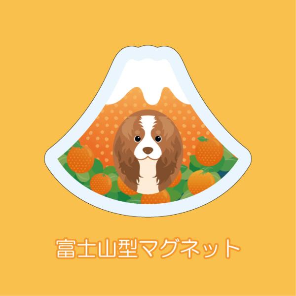 マグネット アクリル キャバリア 静岡 みかん 桜えび かわいい 磁石 雑貨 犬 ホワイトボード 冷...
