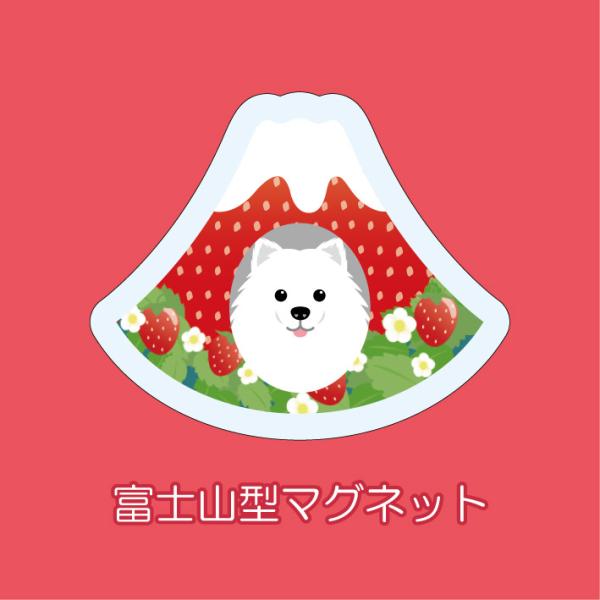 マグネット アクリル スピッツ 静岡 いちご かわいい 磁石 雑貨 犬 ホワイトボード 冷蔵庫