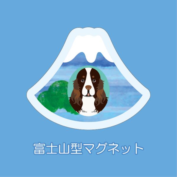マグネット アクリル イングリッシュスプリンガースパニエル 静岡 三保 桜海老 かわいい 磁石 雑貨...