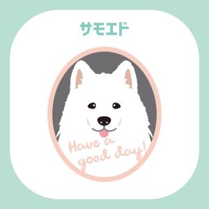 ステッカー サモエド 犬 車 ポスト 玄関 か...の詳細画像2