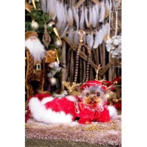 クリスマスドレスの商品画像
