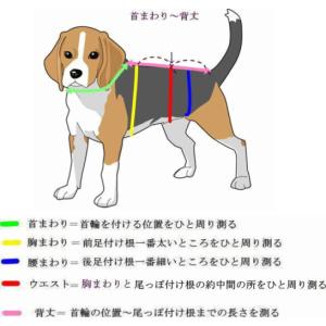 クリスマスドレスの詳細画像3