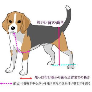 クリスマスドレスの詳細画像4