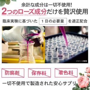 【10個おまとめ10%OFF】 ローズ サプリ...の詳細画像5