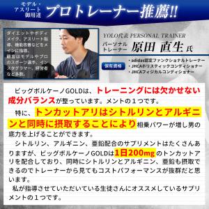 トンカットアリ6000mg配合 Lシトルリン ...の詳細画像2