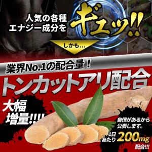 トンカットアリ6000mg配合 Lシトルリン ...の詳細画像3