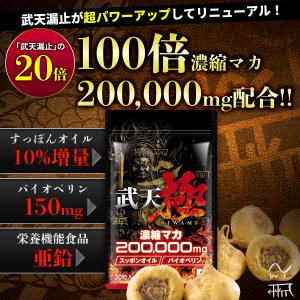 【2個おまとめ割引】 武天 極 お得セット 1...の詳細画像1