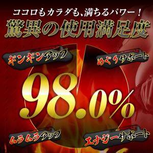 【2個おまとめ割引】 武天漏止お得セット シト...の詳細画像2