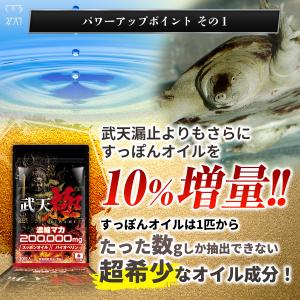 【2個おまとめ割引】 武天 極 お得セット 1...の詳細画像2