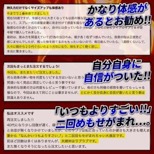 【2個おまとめ割引】 武天漏止お得セット シト...の詳細画像3