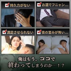 【2個おまとめ割引】 武天漏止お得セット シト...の詳細画像4