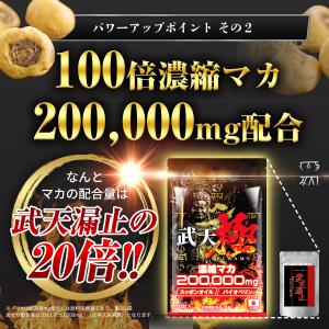 【2個おまとめ割引】 武天 極 お得セット 1...の詳細画像4