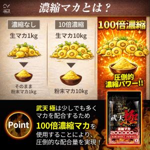 【2個おまとめ割引】 武天 極 お得セット 1...の詳細画像5