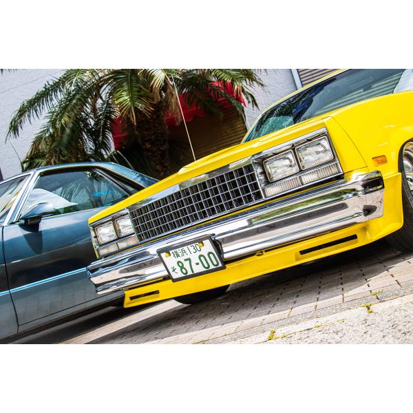 ナンバーフレーム レイズド  スキニー ライセンス プレート フレーム