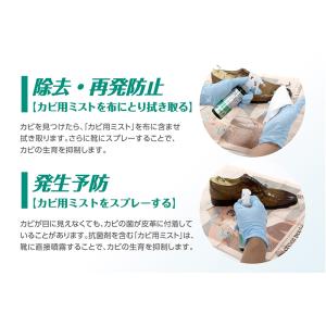 コロンブス COLUMBUS カビ用ミスト レ...の詳細画像4