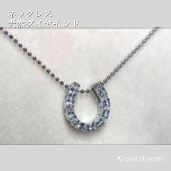 ネックレス　馬蹄　天然ダイヤモンド　S925　ラウンドブリリアントカット　メール便　送料無料