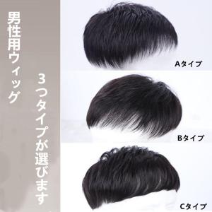 男性用ウィッグ ショート ヘアピース メンズウィ...の商品画像