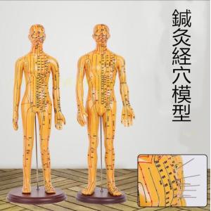 経穴 一覧の商品一覧 通販 Yahoo ショッピング