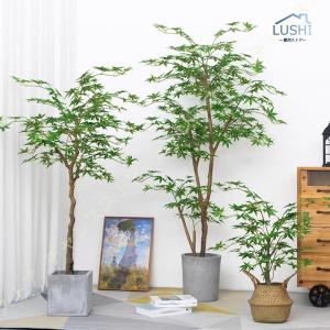 楓の木 紅葉 もみじ 盆栽 人工観葉植物 フェイ...の商品画像