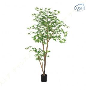 楓の木 紅葉 もみじ 盆栽 人工観葉植物 フェ...の詳細画像3