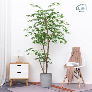 楓の木 紅葉 もみじ 盆栽 人工観葉植物 フェ...の詳細画像4