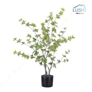 ユーカリ 大型 フェイクグリーン 人工観葉植物...の詳細画像1