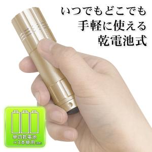 懐中電灯 小型 ミニ 防災 ハンディライト 高...の詳細画像5