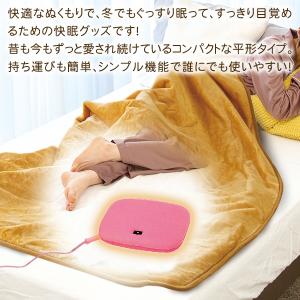 あんか 電気あんか 温度調整 省エネ 快適保温...の詳細画像2