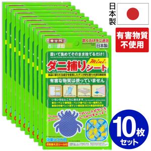 【非公開】2024.6.5 メーカ依頼にて 送料無料/メール便 MS◇ ダニ捕りシート10枚入