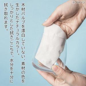 ペーパータオル 120枚 無漂白 使い捨て 茶...の詳細画像2