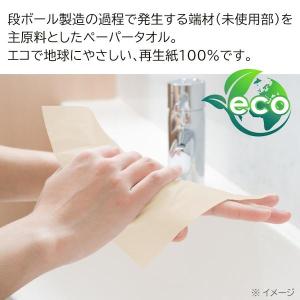 12個セット ペーパータオル 業務用 120枚...の詳細画像1