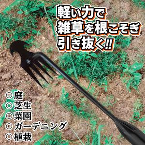 草抜き くわ 立ったまま 雑草抜き 長いハンド...の詳細画像2