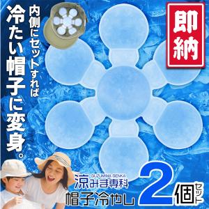 ＼夏物大特価／ 2個セット 帽子用 ひんやり シート クールパッド 頭 保冷剤 アイスパッド 冷却 頭部 保冷 熱中症 暑さ対策 送料無料 2M◇ 帽子冷やし2個