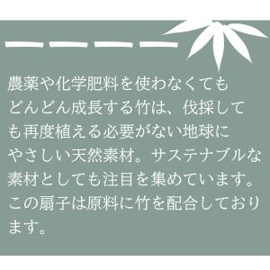 扇子 メンズ レディース 高級 大人 竹製 お...の詳細画像5
