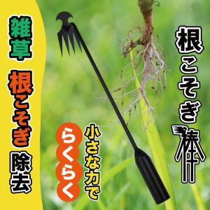 根こそぎ除草 草刈り クワ 簡単に雑草取り 草...の詳細画像1