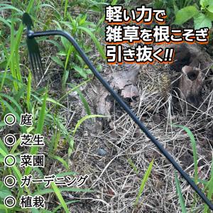 根こそぎ除草 草刈り クワ 簡単に雑草取り 草...の詳細画像2