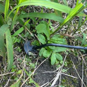 根こそぎ除草 草刈り クワ 簡単に雑草取り 草...の詳細画像5