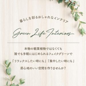 ギンモクセイ 観葉植物 鉢付き セラミックポッ...の詳細画像1