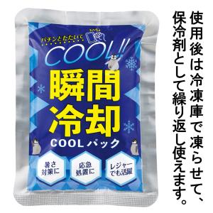 瞬間冷却パック 保冷剤 冷却グッズ 大 暑さ対...の詳細画像5