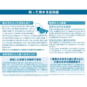 【2個セット】お米 湿気対策 長期保存 10k...の詳細画像3