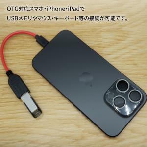 USB変換ケーブル Type-C USB OT...の詳細画像1