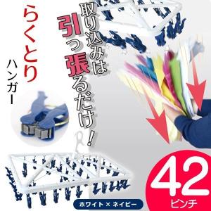洗濯物がまとめて取り込める 洗濯ハンガー 42...の詳細画像1
