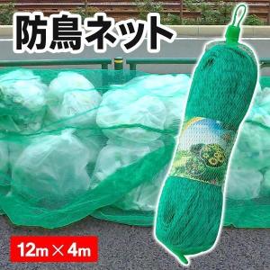 送料無料 防鳥ネット カラス 鳥 ネット 直がけ 防鳥網 12m×4m ゴミ置き場 家庭菜園 落下物対策 畑 ガーデニング 庭 果実 実 猫よけ 網 農業 S◇ 防鳥ネット