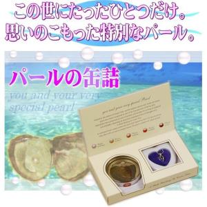 真珠 缶パールネックレス 世界に1つ 幸せを呼...の詳細画像1