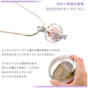 真珠 缶パールネックレス 世界に1つ 幸せを呼...の詳細画像4