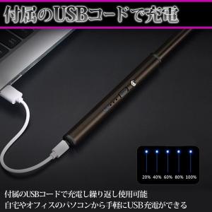 電子ライター USB 充電式 風に強い プラズ...の詳細画像4