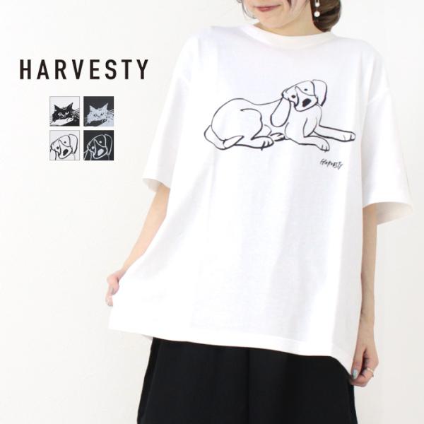 ハーベスティ HARVESTY プリントボックスT/PRINTED BOX TEE A52505/A...