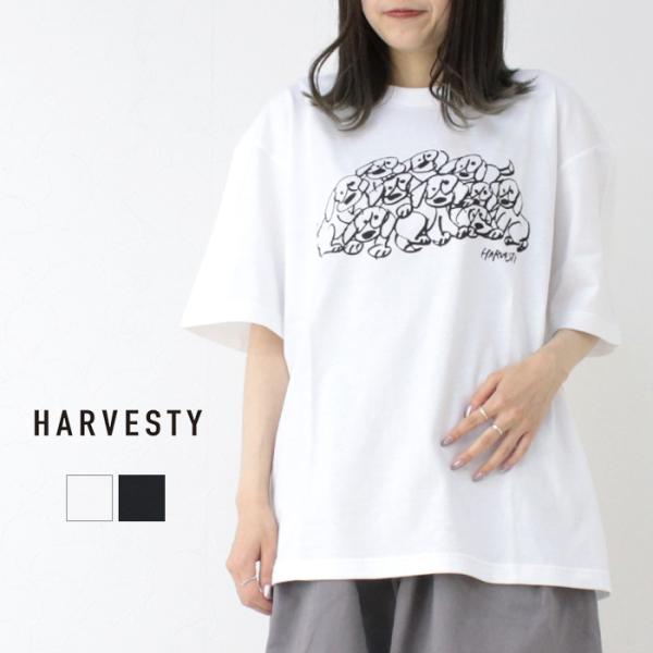 ハーベスティ HARVESTY プリントボックスTシャツ PRINTED BOX TEE A5251...